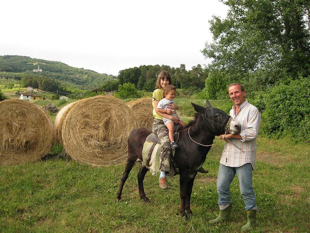 Dreamers Bed & Breakfast San Macario In Piano 0*,  Italy
