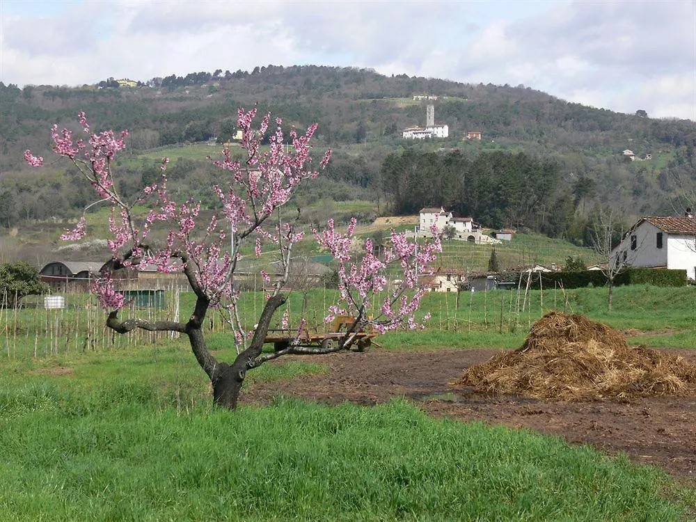 Farm stay Dreamers Bed & Breakfast San Macario In Piano