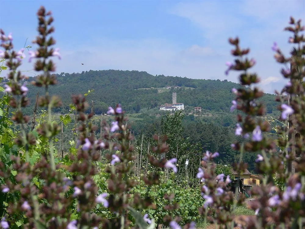 Dreamers Bed & Breakfast San Macario In Piano Farm stay
